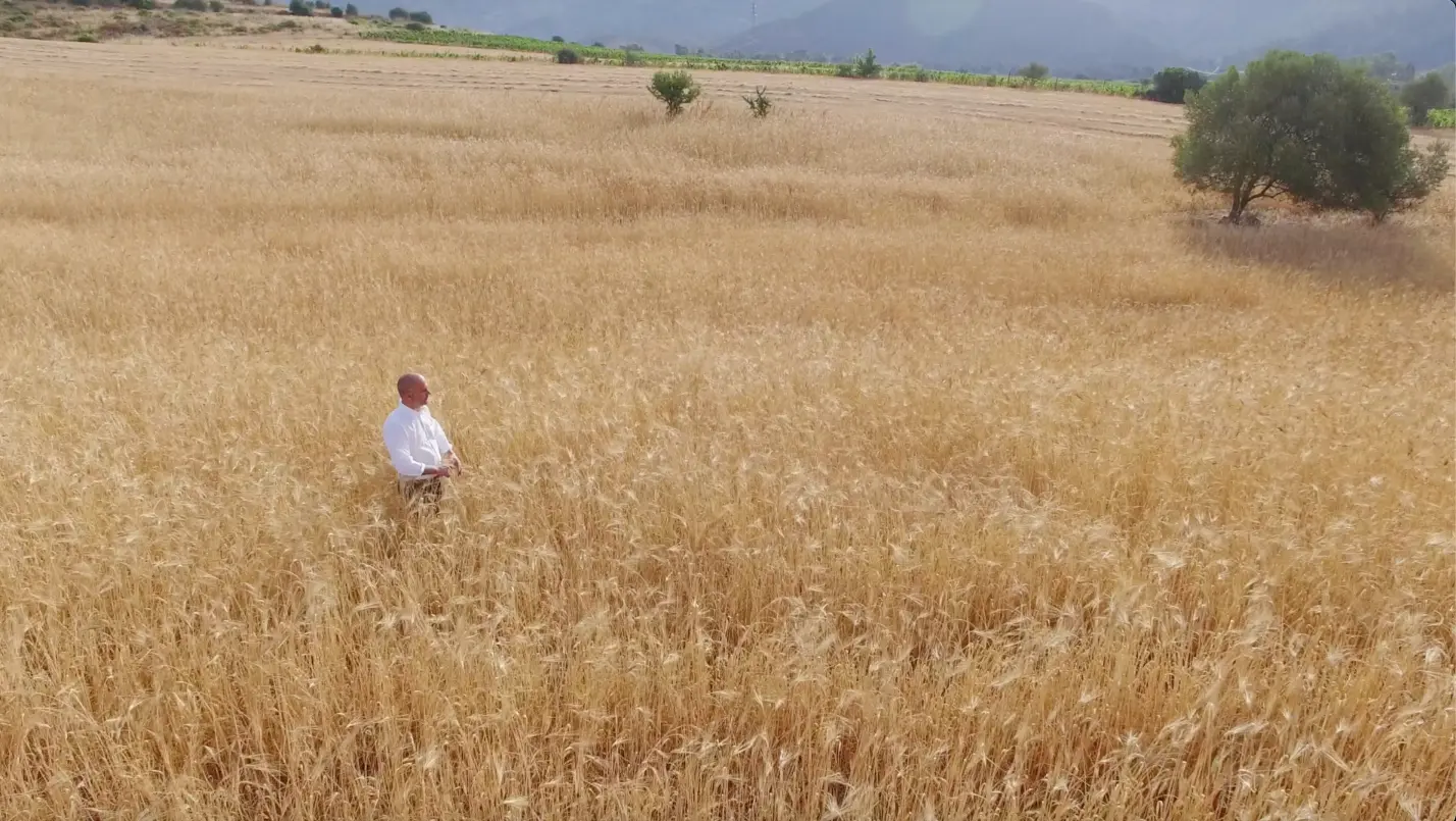 Malti d'orzo e luppolo fresco usati nella birra artigianale Birra Lara